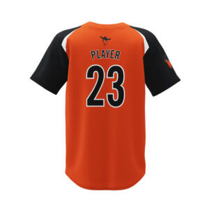 Alternative view of Baseball Jersey